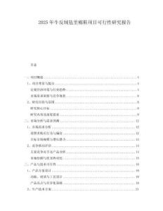 2025年牛反絨氈里棉鞋項(xiàng)目可行性研究報(bào)告