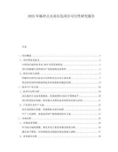 2025年脈沖點火高壓包項目可行性研究報告