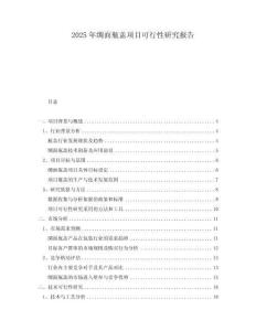 2025年綢面瓶蓋項目可行性研究報告