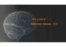 2025年-臨床康復(fù)學(xué)ppt教學(xué)課件_阿爾茨海默癥0