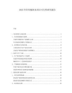 2025年針織棉坯布項目可行性研究報告