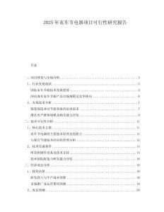 2025年衣車節(jié)電器項目可行性研究報告
