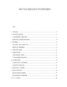2025年出水接頭項目可行性研究報告