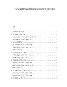 2025年購銷存財(cái)管理系統(tǒng)項(xiàng)目可行性研究報(bào)告