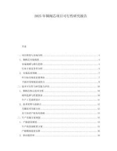 2025年銅閥芯項目可行性研究報告