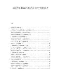 2025年膨體玻璃纖維方繩項目可行性研究報告