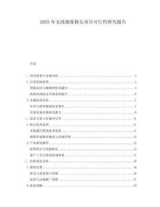 2025年無線煙霧探頭項(xiàng)目可行性研究報(bào)告