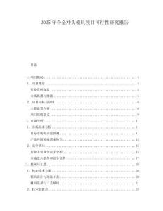 2025年合金沖頭模具項(xiàng)目可行性研究報(bào)告