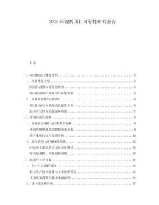 2025年混醇項目可行性研究報告