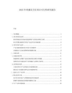 2025年香薰星月燈項(xiàng)目可行性研究報(bào)告