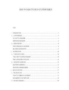 2025年少油手車項目可行性研究報告