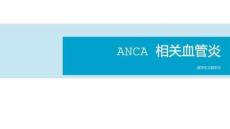 ANCA 相关血管炎