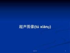 超聲圖像學(xué)習(xí)教案