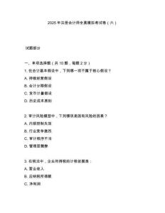 2025年注冊會計師全真模擬考試卷（六）