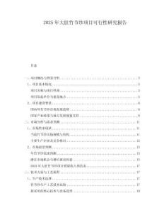 2025年大肚竹節(jié)紗項(xiàng)目可行性研究報(bào)告