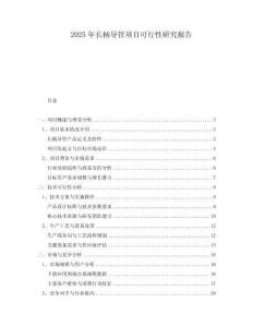 2025年長(zhǎng)柄導(dǎo)管項(xiàng)目可行性研究報(bào)告