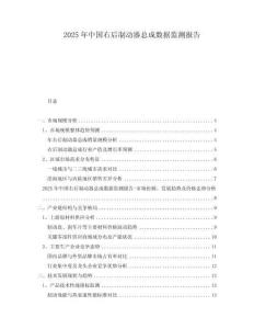 2025年中國(guó)右后制動(dòng)器總成數(shù)據(jù)監(jiān)測(cè)報(bào)告