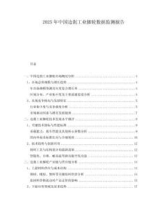 2025年中國(guó)邊剎工業(yè)腳輪數(shù)據(jù)監(jiān)測(cè)報(bào)告