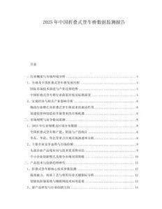 2025年中國(guó)折疊式登車橋數(shù)據(jù)監(jiān)測(cè)報(bào)告