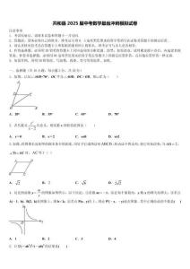 共和縣2025屆中考數(shù)學最后沖刺模擬試卷含解析