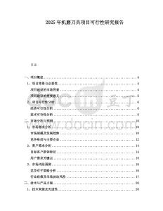 2025年機(jī)磨刀具項(xiàng)目可行性研究報(bào)告