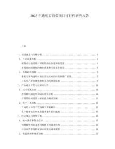2025年透明后背帶項目可行性研究報告