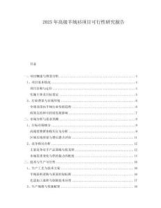 2025年高級羊絨衫項目可行性研究報告
