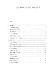 2025年燕尾夾項目可行性研究報告