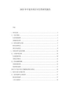 2025年中寬巾項(xiàng)目可行性研究報(bào)告