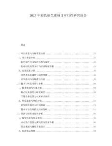 2025年彩色褪色素項(xiàng)目可行性研究報(bào)告