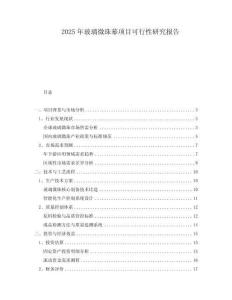 2025年玻璃微珠幕項(xiàng)目可行性研究報(bào)告
