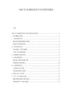 2025年SB編織花項目可行性研究報告