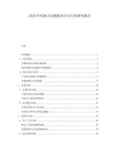 2025年有柄刀邊絨輪項目可行性研究報告