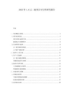 2025年1.6己二胺項目可行性研究報告