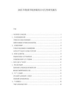 2025年铁质不粘炒锅项目可行性研究报告