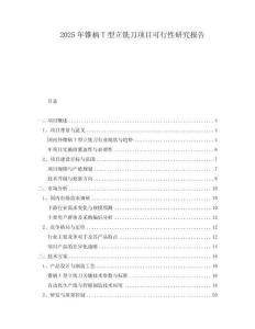 2025年錐柄T型立銑刀項(xiàng)目可行性研究報(bào)告