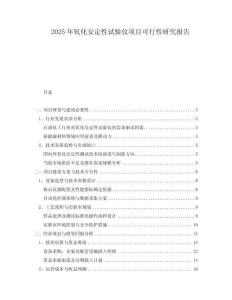 2025年氧化安定性試驗儀項目可行性研究報告