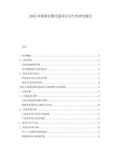 2025年荷塘比翼毛毯项目可行性研究报告