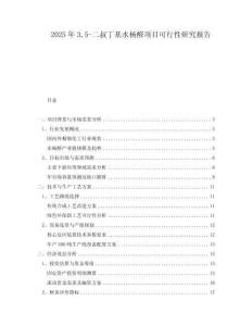 2025年35-二叔丁基水楊醛項目可行性研究報告