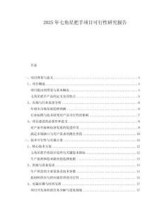 2025年七角星把手項目可行性研究報告