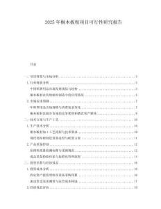 2025年桐木板棺項目可行性研究報告