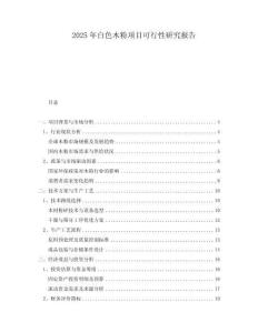 2025年白色木粉項目可行性研究報告