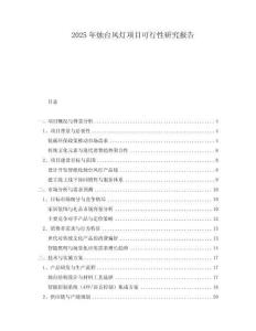2025年?duì)T臺(tái)風(fēng)燈項(xiàng)目可行性研究報(bào)告