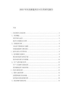 2025年閃光眼鏡項目可行性研究報告
