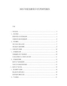 2025年夜光漆項目可行性研究報告