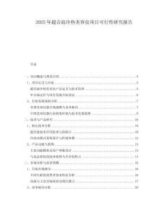 2025年超音波冷熱美容儀項目可行性研究報告