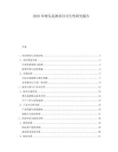 2025年噴頭花灑項目可行性研究報告