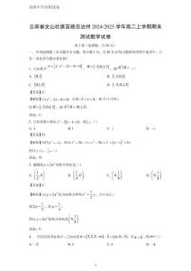 云南省文山壯族苗族自治州2024-2025學(xué)年高二上學(xué)期期末測試數(shù)學(xué)試卷（解析版）