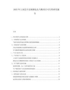 2025年土灰色牛反絨鋼包頭馬靴項目可行性研究報告