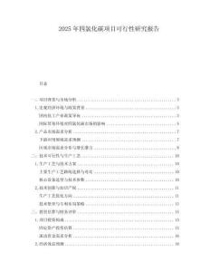 2025年四氯化碳項目可行性研究報告